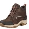 Ariat Telluride II H2O Womens Endurance Boot