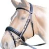 Albion KB Competition Snaffle Bridle With Cavesson Noseband