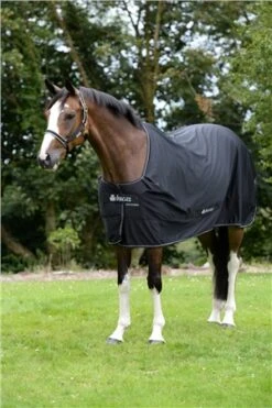 Bucas New Shamrock Power Classic Cut