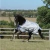 Bucas New Sun Shower Summer Turnout Rug