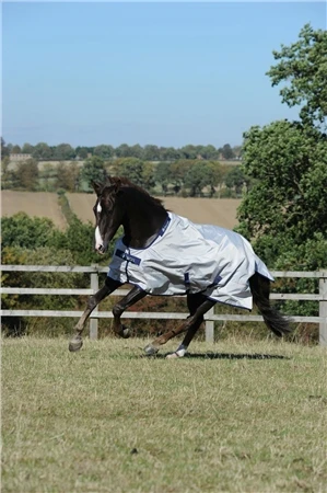 Bucas New Sun Shower Summer Turnout Rug 1 Bucas New Sun Shower Summer Turnout Rug