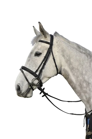 Caldene Flash Bridle With Crank And Rubber Reins 1 Caldene Flash Bridle With Crank And Rubber Reins