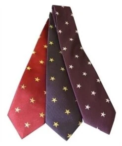 Equetech Junior Star Tie