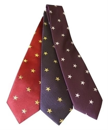 Equetech Junior Star Tie 1 Equetech Junior Star Tie