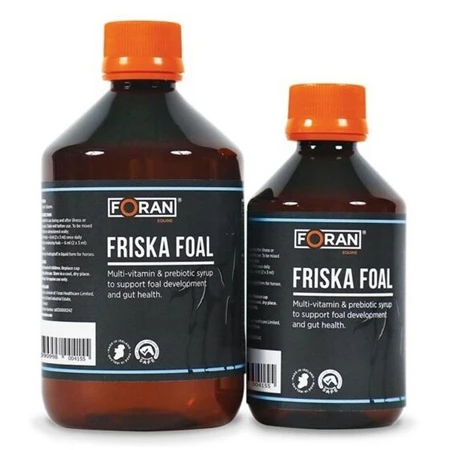 Foran Friska Foal 1 Foran Friska Foal