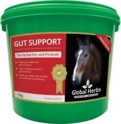 Global Herbs Gut Support