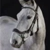GFS Premier Prosperity Bridle