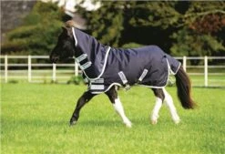 Horseware Amigo Hero 6 Petite Plus Turnout Medium