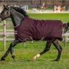 Horseware Amigo Hero Ripstop Turnout 100g
