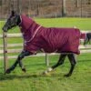 Horseware Amigo Hero Ripstop Plus Medium Turnout 200g