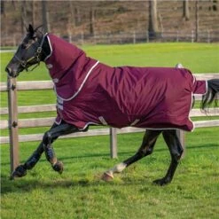 Horseware Amigo Hero Ripstop Plus Medium Turnout 200g