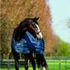 Horseware Liner 300g
