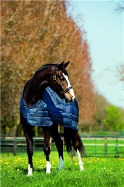 Horseware Liner 300g