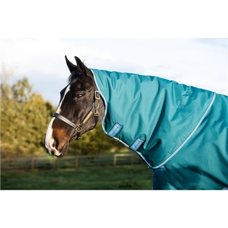 Horseware Amigo Bravo-12 Plus Turnout Heavy 2 Horseware Amigo Bravo-12 Plus Turnout Heavy - Image 2