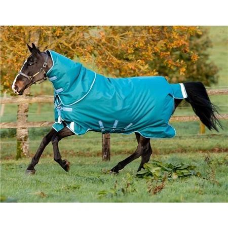 Horseware Amigo Bravo-12 Plus Turnout Heavy 1 Horseware Amigo Bravo-12 Plus Turnout Heavy
