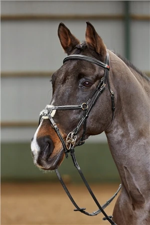 John Whitaker Valencia Mexican Bridle 1 John Whitaker Valencia Mexican Bridle