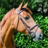 John Whitaker Raised Flash Bridle With Fancy Stitch