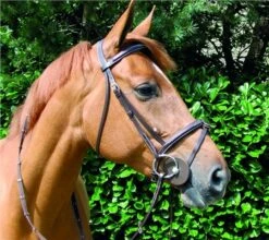 John Whitaker Raised Flash Bridle With Fancy Stitch