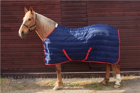 John Whitaker Thomas Stable Rug 250g 1 John Whitaker Thomas Stable Rug 250g