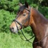 Kieffer Ergonomic Line Snaffle Bridle With Flash Noseband