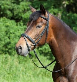 Kieffer Ergonomic Line Snaffle Bridle With Flash Noseband