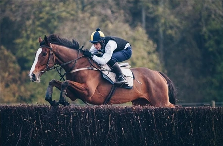 Racesafe ProRace 2.0 5 Racesafe ProRace 2.0 - Image 5