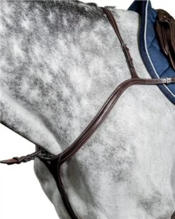 Prestige Italia D35 Prestige Evo Long Bridge Breastplate (with Running Martingale)