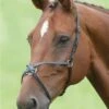 Shires Blenheim Mexican Noseband