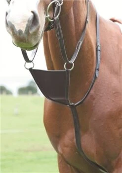 Shires Blenheim Leather Bib Martingale