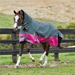Weatherbeeta Comfitec Plus Dynamic Combo Neck Turnout Lite