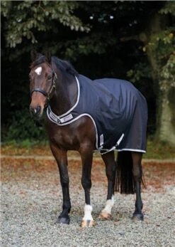 Horseware Amigo Walker Rug