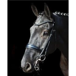 Schockemohle Milan Anatomical Double Bridle