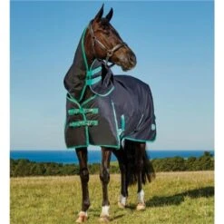 Weatherbeeta Green-Tec 900D Detach-A-Neck Medium