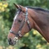 Shires Blenheim Plain Inhand Bridle