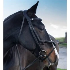 EcoRider Eventair Grackle Bridle
