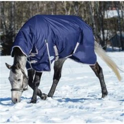Weatherbeeta Comfitec Essential Combo Neck Turnout Heavy -Equestrian Supplies Store 50484 2