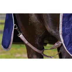 Weatherbeeta Comfitec Essential Combo Neck Turnout Heavy -Equestrian Supplies Store 50484 3