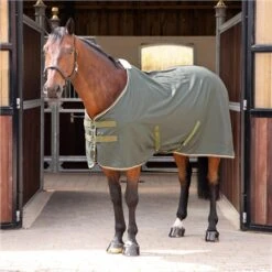 Tempest Original Stable Sheet