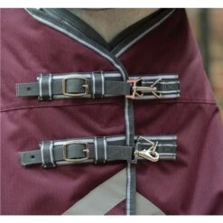 Weatherbeeta Comfitec Plus Dynamic II Detach-A-Neck Medium-Lite Turnout Rug -Equestrian Supplies Store 52257 2