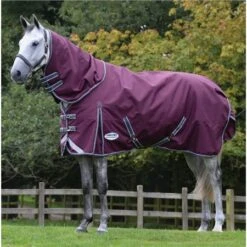 Weatherbeeta Comfitec Plus Dynamic II Detach-A-Neck Medium-Lite Turnout Rug