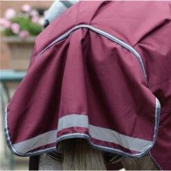 Weatherbeeta Comfitec Plus Dynamic II Detach-A-Neck Medium-Lite Turnout Rug -Equestrian Supplies Store 52257 3