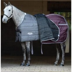 Weatherbeeta Comfitec PP Channel Quilt II Detach-A-Neck Medium AW21 -Equestrian Supplies Store 52471 4