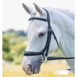 Velociti Ergononic Cavesson Bridle