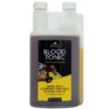 Lincoln Blood Tonic