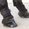 Shires Pastern Wraps