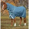 Horseware Amigo AmEco 12 Plus Turnout Rug