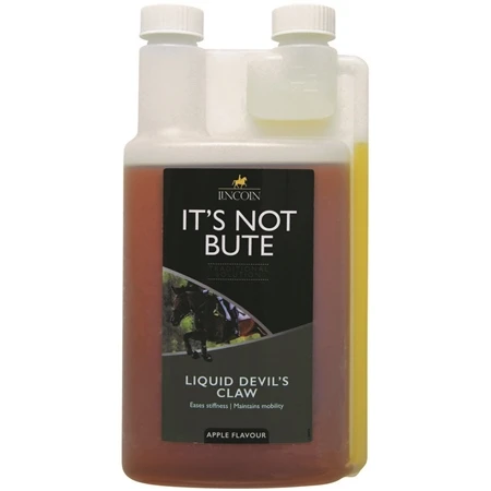 Lincoln Its Not Bute 1 Lincoln Its Not Bute