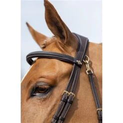 LeMieux Work Bridle -Equestrian Supplies Store 56348 3