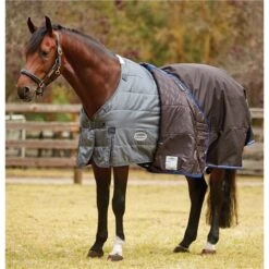 Weatherbeeta Comfitec Liner Heavy -Equestrian Supplies Store 66766 2