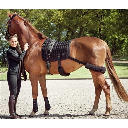 Catago Fir-Tech Training Saddle Pad With Elastic 2 Catago Fir-Tech Training Saddle Pad With Elastic - Image 2